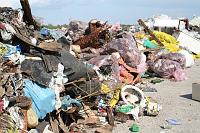 see_k6ik_oli_metsas_3