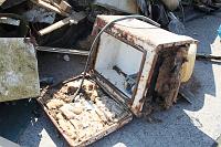 see_k6ik_oli_metsas_5